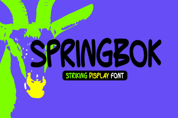 Springbok: A Bold Display Font That Elevates Digital Branding